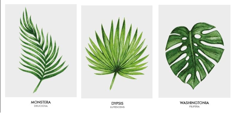 wnętrza inspirowane natura