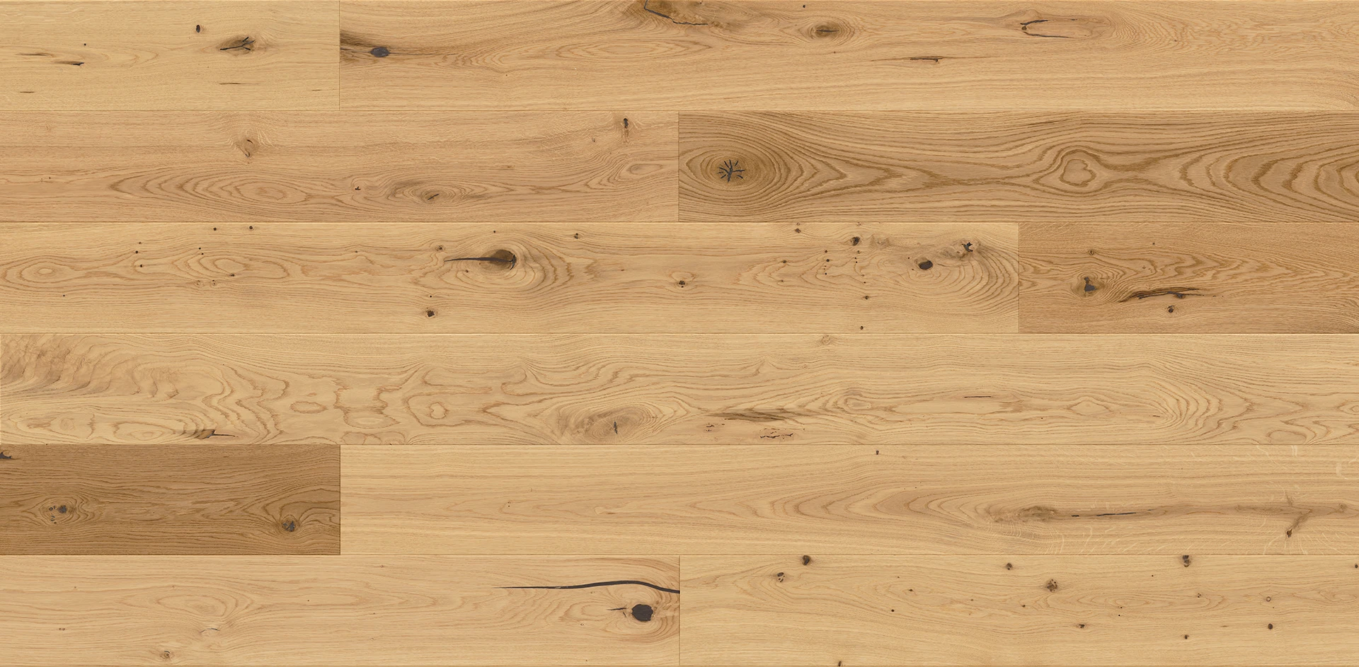 Oak Grand Canyon Grande