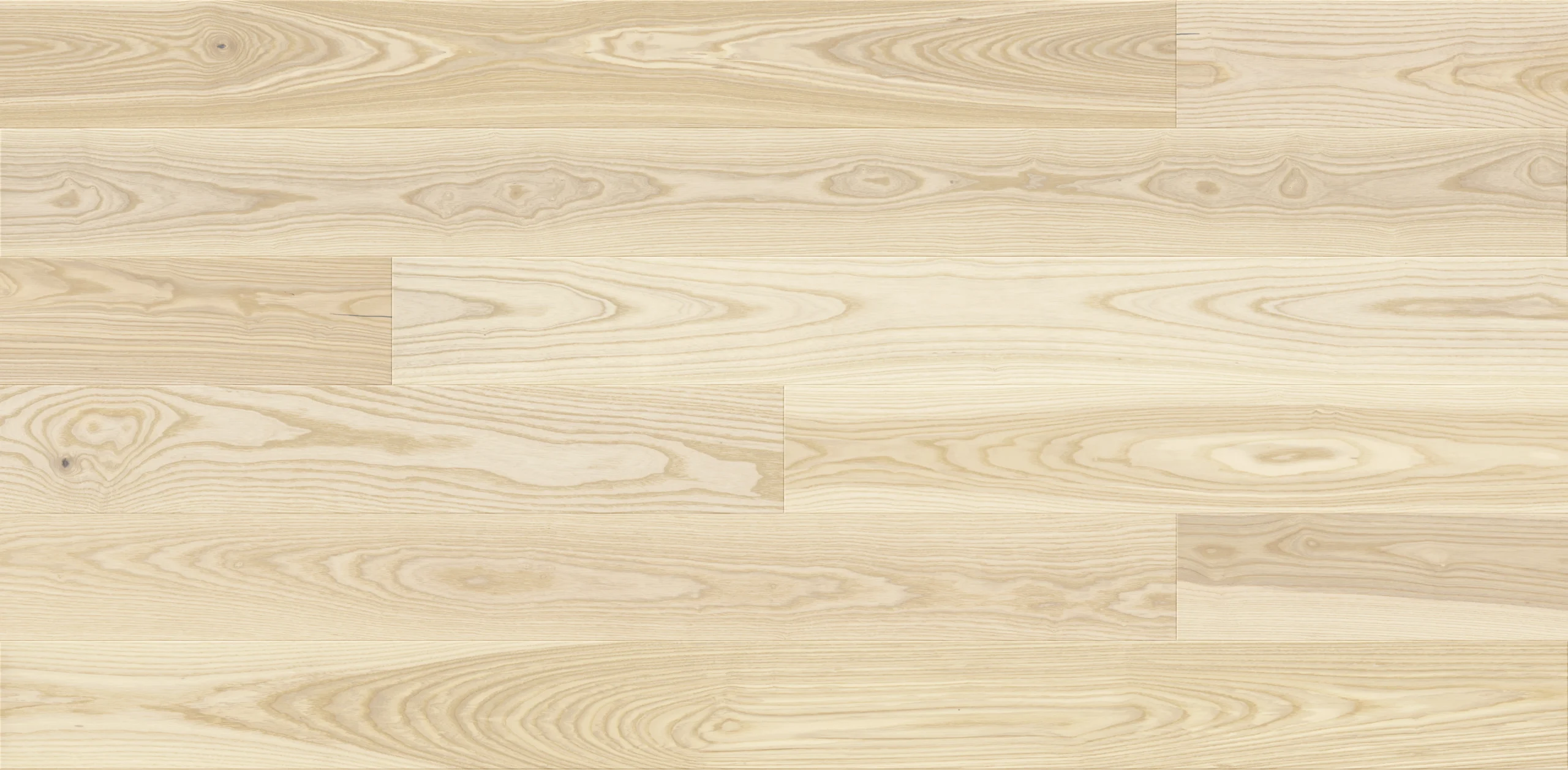 Ash Milkshake Grande