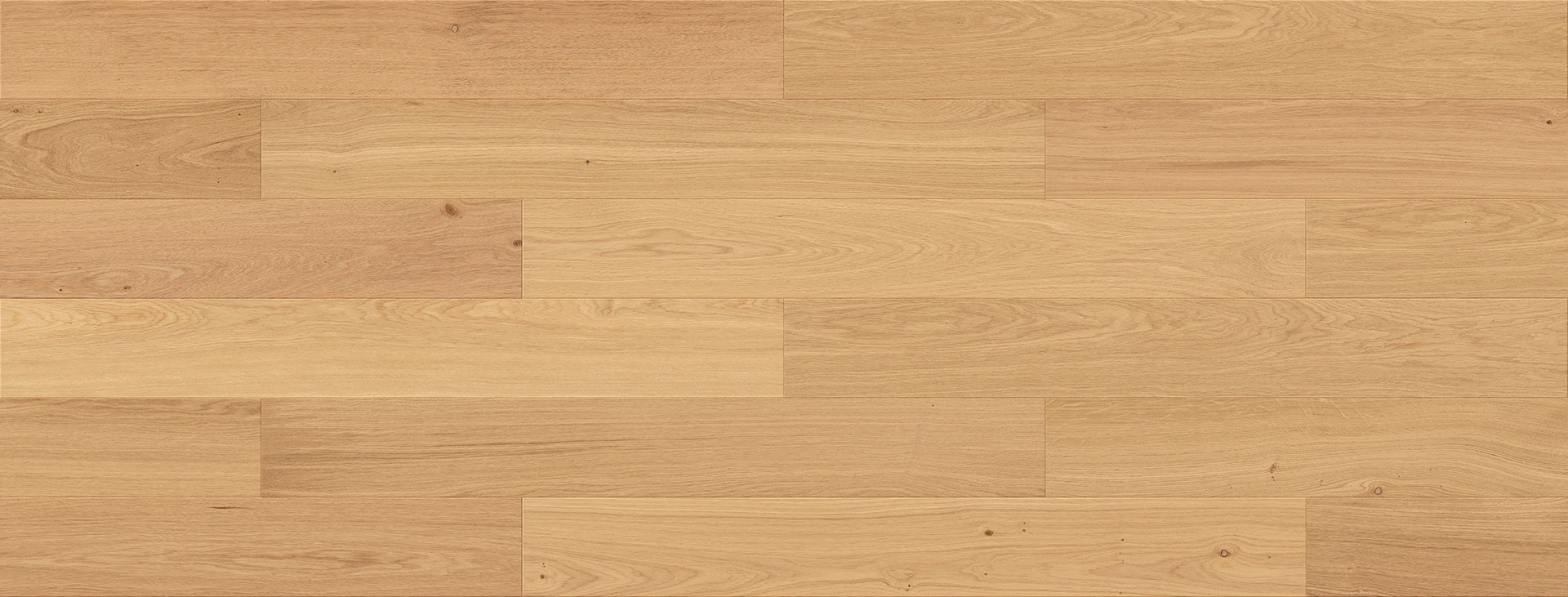 Oak Futuris Esthetic